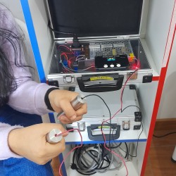 DESPARACITACIÓN ELECTRÓNICA