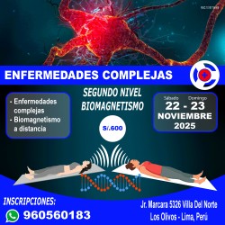 2DO NIVEL BIOMAGNETISMO