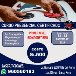 1ER NIVEL BIOMAGNETISMO